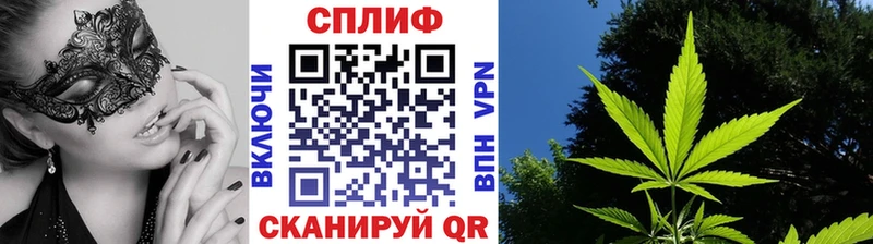 Где найти наркотики Полесск Кокаин  АМФЕТАМИН  СК  Канабис  Мефедрон 