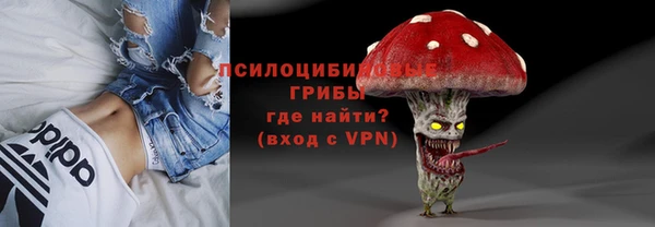 прущие грибы Нефтегорск
