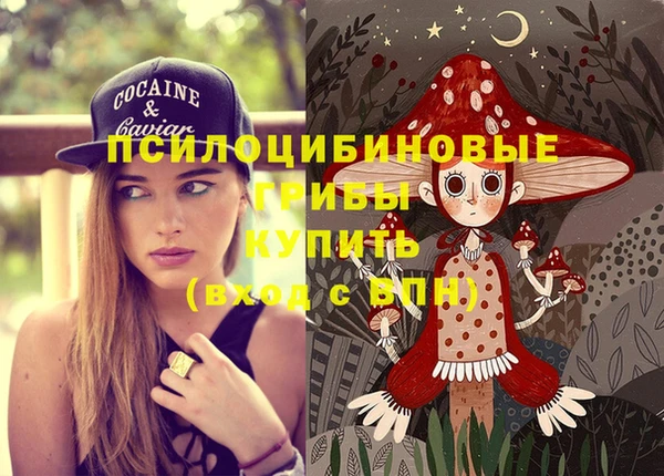 спиды Дмитровск