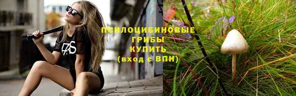спиды Дмитровск