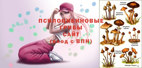 спиды Дмитровск